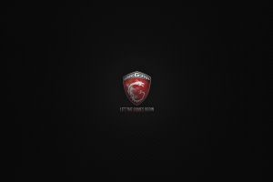 MSI Hintergrundbilder