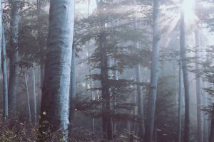 Mystische Hintergrundbilder