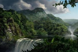 Dschungel Hintergrundbilder