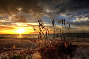 Hintergrundbilder In HD