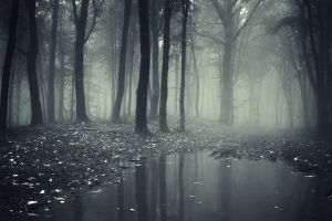Düster Hintergrundbilder
