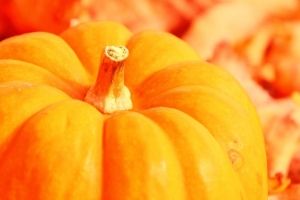 Herbstliche Natur Hintergrundbilder HD