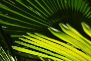 Hintergrundbilder fürs Handy HD