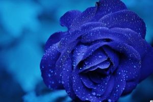 Blaue Hintergrundbilder