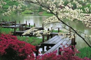 Garten Hintergrundbilder