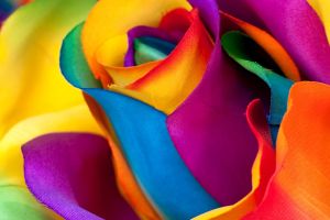 Bunte Hintergrundbilder