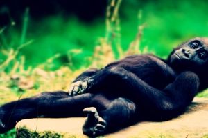 Chillen Hintergrundbilder