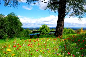 Frühling und Natur Hintergrundbilder HD