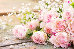 Blumen Hintergrundbilder für PC