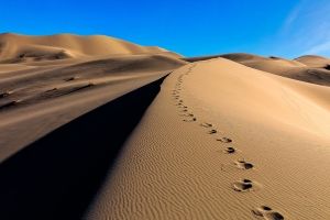 Spuren Im Sand Hintergrundbilder